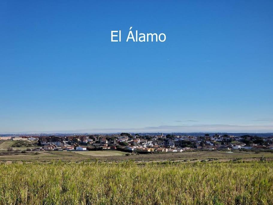 Primera Planta Completa, El Álamo Kültér fotó