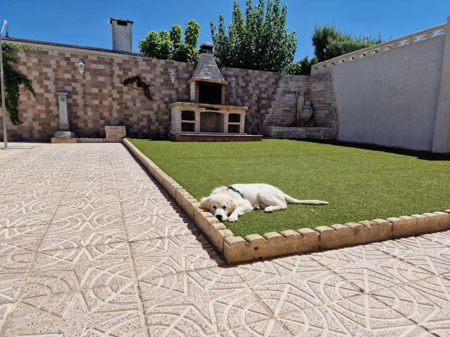 Primera Planta Completa, El Álamo Kültér fotó